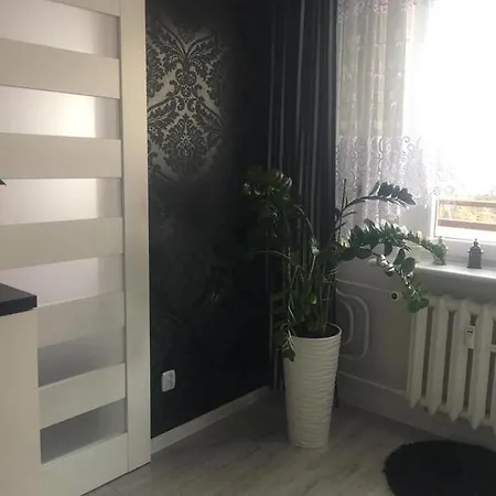 Black & White Στσέτσιν